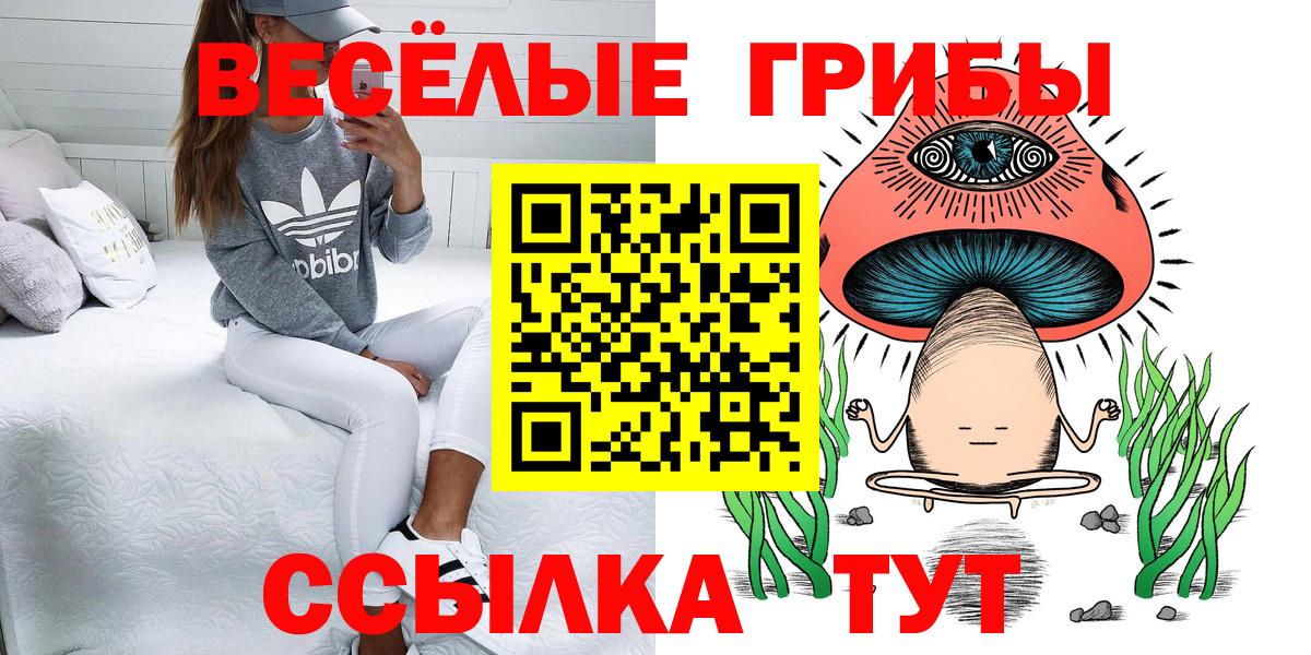 Галлюциногенные грибы прущие грибы Приморско-Ахтарск